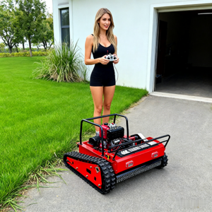 Cortadora de Césped Remota Barata con Envío Gratuito, Cortadora de Césped con Control Remoto de 550 mm con Certificación CE y EPA - Product Image 5