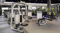 Machine à Calf Raises Essentielle MND FF93 pour Centres de Fitness Commerciaux – Équipement Durable
