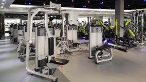 Máquina Moderna para Bíceps/Tríceps MND FF86, Equipo <span class=keywords><strong>de</strong></span> Entrenamiento <span class=keywords><strong>de</strong></span> Fuerza para <span class=keywords><strong>Gimnasio</strong></span> y Centro <span class=keywords><strong>de</strong></span> Fitness, <span class=keywords><strong>de</strong></span> Alta Resistencia - Product Image 4