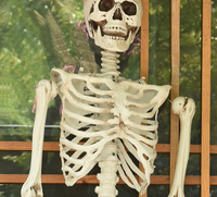 Accessoires décoratifs animés d'Halloween corps humain articulations mobiles taille personnalisable réaliste de haute qualité squelette d'Halloween