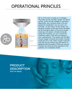 Oxygen Infusion Whitening & Firming Machine <b>post</b>-Treatment Skin Repair Oxygen Device - Product Image 4
