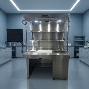 Station de travail en acier inoxydable pour le traitement des échantillons, capacité 5 étagères, personnalisation OEM, évier intégré pour hôpitaux et laboratoires - Product Image 3