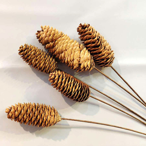 Venta al por mayor a granel Real Touch Natural seco decoración de Navidad flores y plantas cono de pino seco - Product Image 5