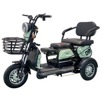 Tricycle électrique pas cher à trois roues avec pneus larges de 8 pouces, scooter électrique deux places à carrosserie ouverte, tension 48V