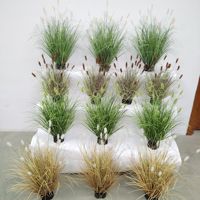 Rumput Pampas Foxtail Plastik Buatan Simulasi Tinggi Ramah Lingkungan Tanaman Indoor untuk Rumah Hotel Pesta Pernikahan Hari Valentine