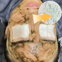 Poudre exfoliante en gros aux spicules d'algues pour le visage, poudre naturelle de renouvellement cutané à base d'algues marines pour l'esthétique de la peau, le bien-être et les soins spa