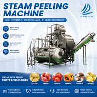 Automatische stoomschilmachine voor fruit & groenten |   SUS304 RVS hoogwaardige schilmes