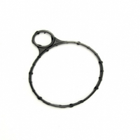 Joint de pompe à vide LR039593 pour moteur Land Rover 2.0L, jeu de joints de culasse pour véhicules L550 L359 L538 L494204PT CNAB