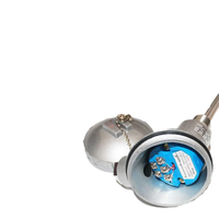 Sonde de température RTD PT100 en acier inoxydable avec transmetteur 4-20mA, personnalisable OEM/ODM, sonde thermocouple IP65