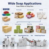 Machine à fabriquer du savon à lessive 100-500 kg/h pour les petites entreprises avec un ROI élevé