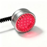 Produit Tendance 2026 : Appareil de Soin Capillaire par Électroporation, Dispositif à Microcourant, Masseur Facial Galvanique et Masseur de Cuir Chevelu