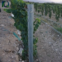 Postes de Acero Galvanizado por Inmersión en Caliente de 1.5 mm de Espesor, Revestimiento de Zinc de Alta Resistencia, para Agricultura, Huertos y Viñedos, Tipo U, Modelado 3D