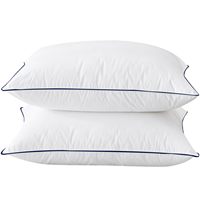 Oreillers de luxe pour lit toutes tailles hôtel blanc coton duvet d'oie plumes de canard oreillers de couchage