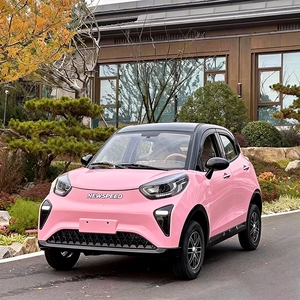 Voiture électrique BRT MINI fabriquée en Chine, nouveau modèle 2026, intérieur luxueux, voiture électrique à quatre roues pour adultes, 45 km/h, 120 km d'autonomie - Product Image 3