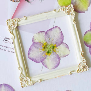 Carte de fleur pressée hellébore tibétain faisant des fournitures bijoux en résine cadre de plante naturelle - Product Image 6