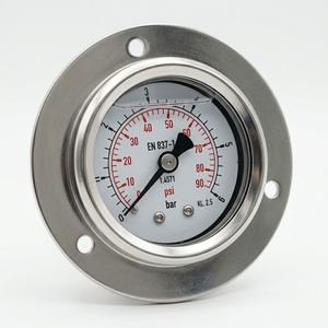 Manomètre axial général de 40 mm avec boîtier en acier inoxydable, qualité personnalisée garantie, 1,6 %, 0~86 psi - Product Image 2