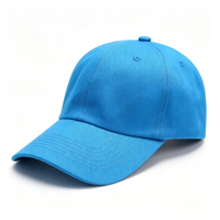 Casquettes de baseball en coton brodées motif léopard, style Dobby, pour le sport, la rue, les affaires et les occasions formelles, vente en gros usine