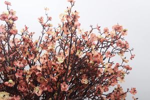 Fleurs artificielles en soie Gypsophile, lot <span class=keywords><strong>de</strong></span> 6, fausses fleurs européennes, décoration pour mariage, fête, tiges d'automne, bouquets DIY - Product Image 5