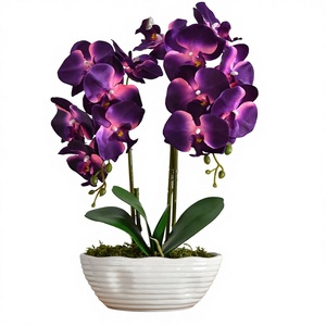 Grande Pianta di Orchidea Artificiale <span class=keywords><strong>in</strong></span> <span class=keywords><strong>Vaso</strong></span>, Composizione Floreale <span class=keywords><strong>in</strong></span> Seta con <span class=keywords><strong>Vaso</strong></span> <span class=keywords><strong>in</strong></span> Ceramica, Viola Scuro - Product Image 1