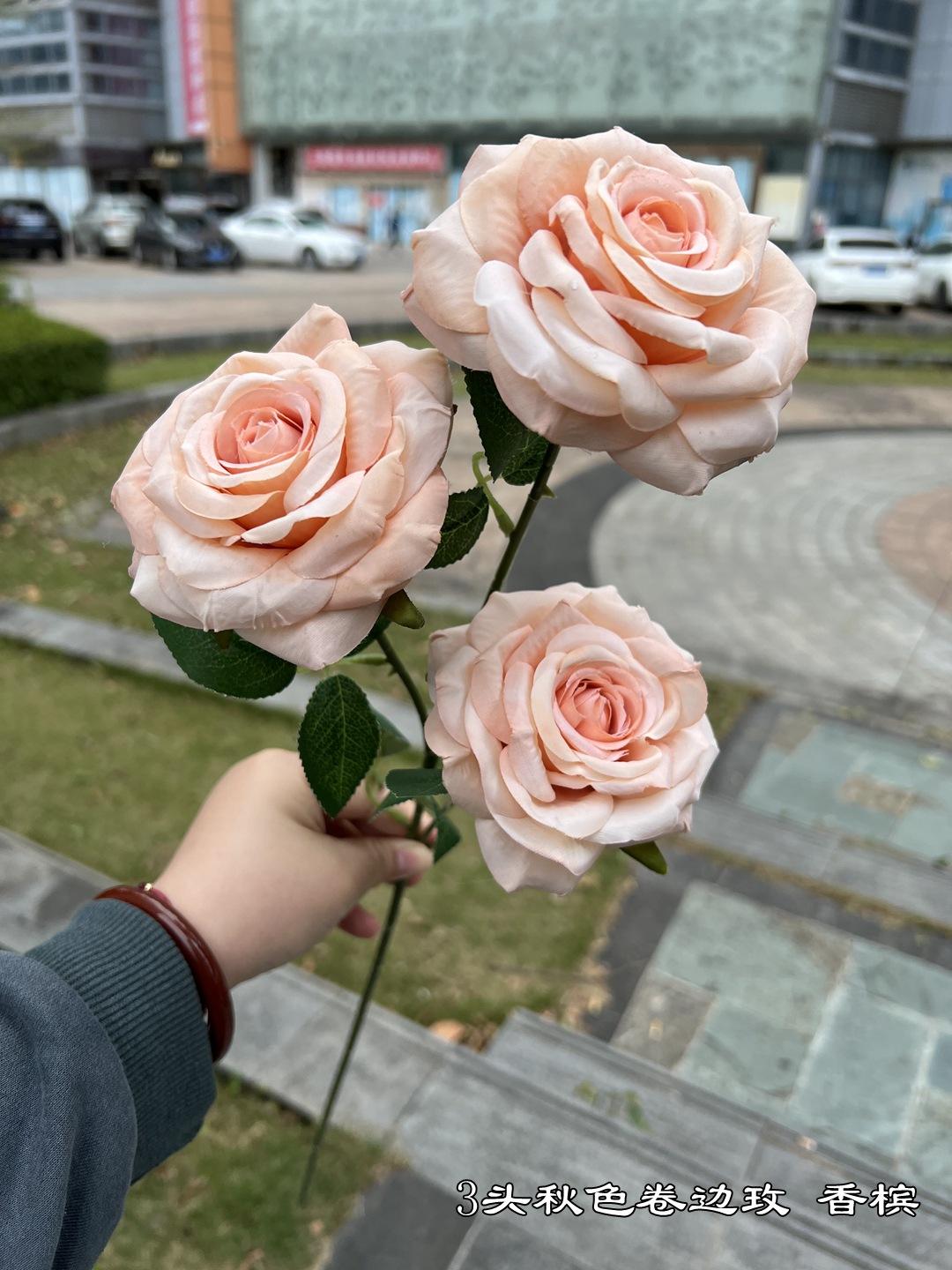 กุหลาบแชมเปญขอบหยิก 3 ดอก (พิเศษ)