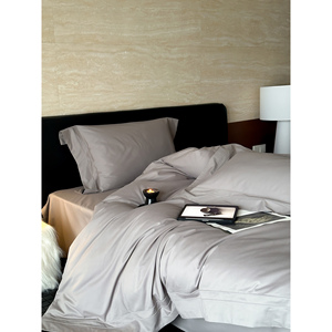 Autumn Winter Thickened 100 Count Long Staple Cotton Four Piece <b>Bedding</b> <b>Set</b> Minimalist Style Sheet <b>Set</b> Keep Warm - Product Image 4