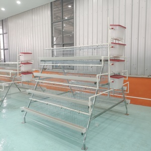 Giá Tốt Lớp Lồng 1000 Gà Gia Cầm Trang Trại Pin Gà Lồng Đúc Sẵn Đặt Gà Xây Dựng Thiết Kế Trong Bangladesh - Product Image 2