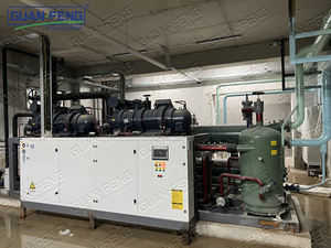 Línea de Congelación de Guisantes de Alta Eficiencia, Congelador IQF Fluidizado para Cubos de <span class=keywords><strong>Zanahoria</strong></span>, Línea de Congelación de Frutas y Verduras Congeladas - Product Image 5