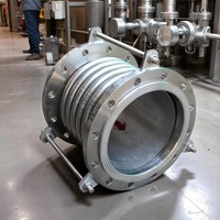 Joint d'expansion à soufflet en acier inoxydable pour l'expansion thermique des conduites industrielles