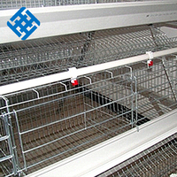 Équipement d'élevage avicole pour poules pondeuses, cage à poules de 70 places, grillage, poulailler à enclos libre, prix d'usine, soudure
