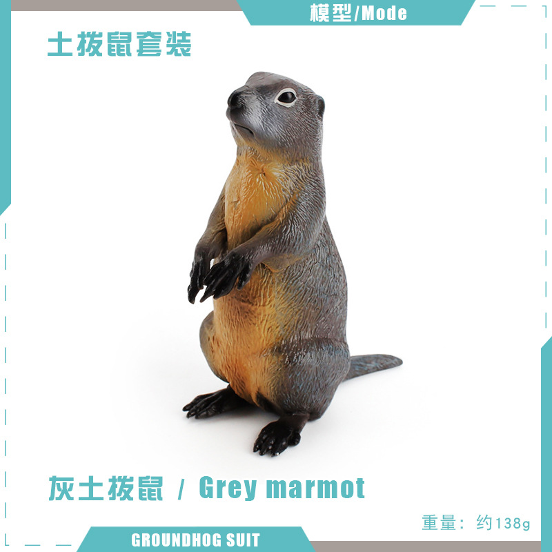 T15723 Marmota gris 138G