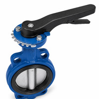 Vanne papillon à levier en fonte ductile de type Lug pour l'alimentation en eau et les conduites de protection incendie