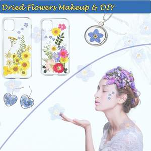 Fleurs pressées naturelles séchées Forget - Me - Not Décor de longue durée pour la maison Art mural Fabrication de cartes Décorations Amateurs créatifs - Product Image 5