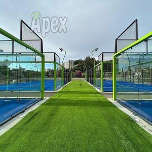 Instalación Económica y Estable de Pistas de Pádel por Equipo APEX, Cancha de Pádel con su Propio Logotipo y Colores - Product Image 5
