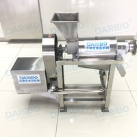 Juicer Machine Apple Sap Machine