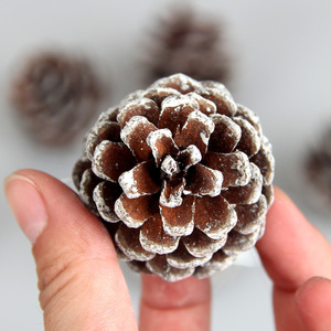 Moderne piccole pinne di neve ornamenti per l'albero di natale ringraziamento fai da te mestieri vaso riempitivi autunno inverno decorazioni per la casa-fabbrica - Product Image 2