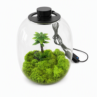 Terrarium en verre borosilicate fait main avec lumière LED intégrée pour la décoration de micro-paysages, de mousse et de palmiers 20x25cm