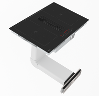 Kompor Induksi Built-in OEM dengan Ventilasi dan Penghisap Asap Terintegrasi