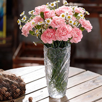 Récipient en verre de table transparent pour fleurs fraîches ornement minimaliste en bambou chanceux pour Vase en verre hydroponique de salon