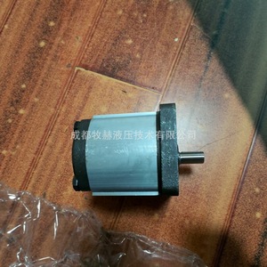 ปั๊มเกียร์ Roncio Roots รุ่น 02ZCG06L434D ปั๊มไฮดรอลิกอุตสาหกรรมแบบขับเคลื่อนด้วยมอเตอร์ 1 จังหวะ ผลิตในอิตาลี - Product Image 1