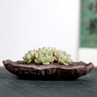 Nouveaux pots à bonsaï traditionnels créatifs en céramique, pot à bonsaï Yixing, pots à fleurs, jardinières, pot à bonsaï, pots à fleurs pour plantes succulentes