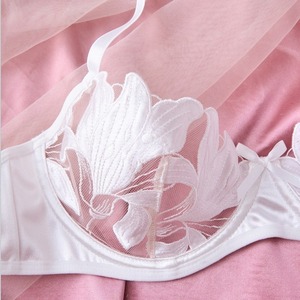 OEM 2025 Vente chaude Lingerie érotique en maille transparente brodée de fleurs, ensemble soutien-gorge et culotte 2 pièces pour femmes - Product Image 4