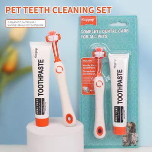 Thiết kế mới thả cao su/Nhựa 2 trong 1 Vanilla flavour Dog Pet kem đánh răng và chấp nhận biểu tượng tùy chỉnh - Product Image 5