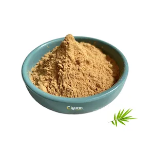 Ciyuan Factory Supplier Wholesale Price Bamboo Leaf Extract Powder 10:1