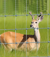 Panneaux de clôture de sécurité agricole en fonte, revêtement PVC, maille durable avec protection UV, finition anti-pourriture pour enclos d'animaux