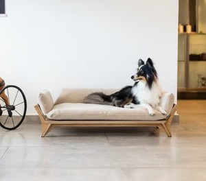 High Quality Oak Beige Pillow Luxury Wooden Pet Sleeping <strong>Bed</strong> Indoor Solid House Elevated Luxury Wooden <strong>Dog</strong> <strong>Bed</strong> - Product Image 5