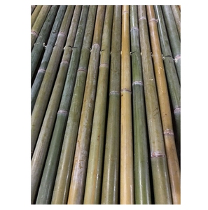 High Quality Natural Bamboo <b>Pole</b> Cane <b>for</b> Home <b>Garden</b> Furniture Wholesale Export to Vietnam Good <b>for</b> Agriculture - Product Image 1