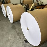 High-BULK 300gsm C1S Ivory Board Paper Folding Box Board pour les boîtes d'emballage