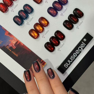 Ensemble de vernis à ongles gel UV effet œil de chat, 10 couleurs, sans odeur, gel magnétique pour ongles avec panneau d'affichage pour salon - Product Image 4