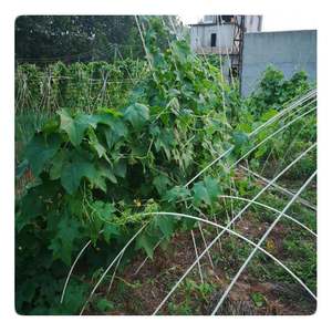 Estacas de jardín ligeras de fibra de vidrio resistentes a la corrosión con punta de lápiz para soporte de tomate/pepino 15 años de durabilidad - Product Image 3