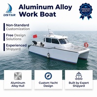 Bateau Catamaran en Aluminium Dookyu 9,8 m Certifié CE pour Visites Costières, Excursions Insulaires, Ferry de Passagers - Vente Directe Usine